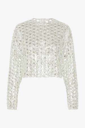 Trumpu ilgomis rankovėmis viršus, pagamintas iš blizgaus sidabrinio tinklo audinio su sudėtingais išpjovų raštais ir apvaliu iškirpimu.