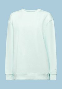 Sudadera de color verde menta claro hecha de tela suave, con cuello redondo, hombros caídos y dobladillo recto con puños acanalados.