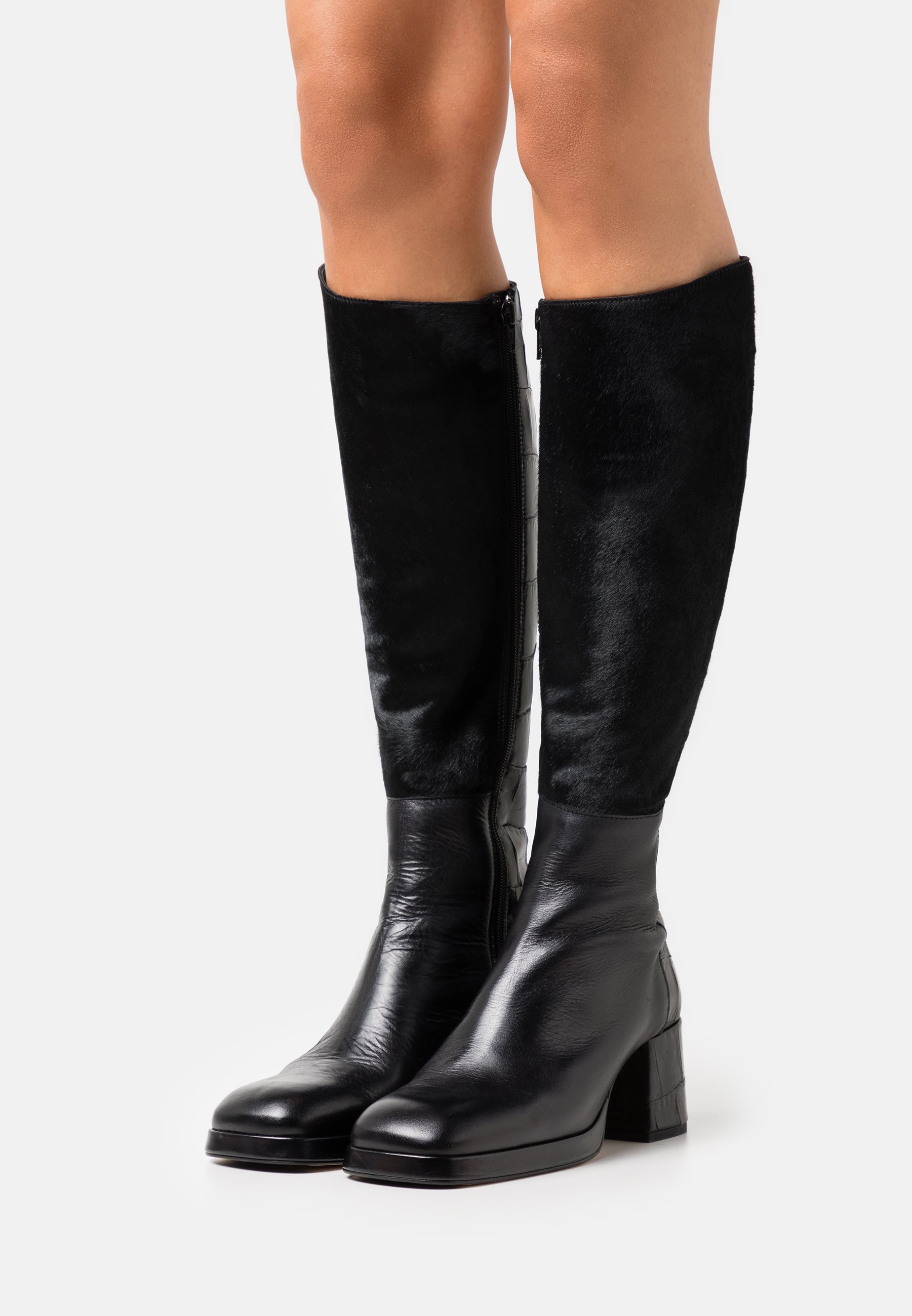 miista tall boots