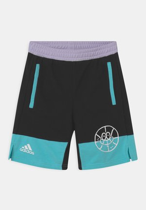 BASKETBALL UNISEX - Korte broeken - black/pulse aqua/purple tint