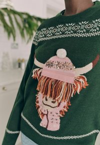 Grøn strikket sweater med et farverigt design af en højlandskvæg, dekoreret med palietter og uldtassler samt mønstret bærestykke.
