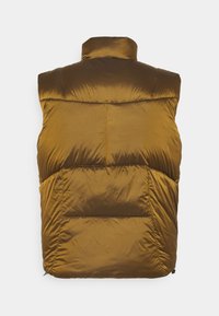 Braune Steppweste mit hohem Kragen, mit einem gesteppten Muster, glatter Textur und einer hinteren Tasche. Das Material wirkt glänzend und isoliert.