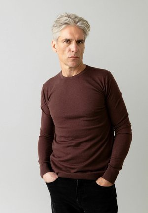 ADAM SOFT - Strickpullover - bitter chocolate
