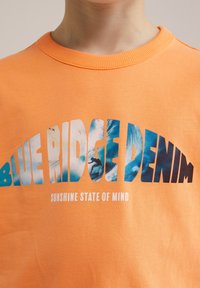 Oranžinė medvilninė džemperis su grafiniu tekstu "BLUE RIDGE DENIM" ir mėlyna bangų vaizdine atributika bei "SUNSHINE STATE OF MIND" tekstu žemiau.