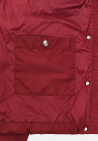GANT ACTIVE CLOUD - Jachetă de iarnă - carbernet red