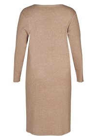 Robe tricotée beige à manches longues et longueur au genou avec manches côtelées et encolure ronde, vue de dos sur fond blanc.
