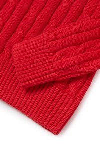 Maglione rosso in maglia con un motivo a treccia testurizzato e polsini a coste. Presenta un tessuto spesso e morbido, che evidenzia calore e comfort.