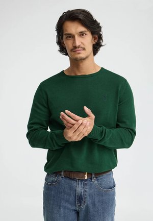 Uomo con capelli castani di media lunghezza che indossa un maglione verde a maniche lunghe e jeans blu, in piedi davanti a uno sfondo bianco uniforme.