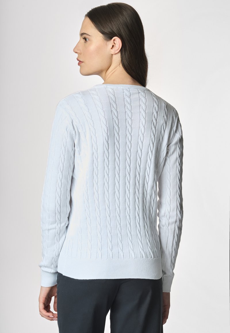 Maglione a maglia cable blu chiaro con maniche lunghe, polsini e fondo a costine, caratterizzato da motivi testurizzati lungo il retro e i lati.