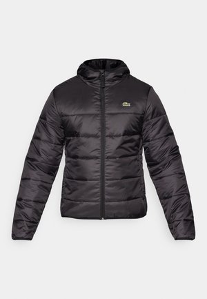 Black puffer jacket features a hood, zip closure, and horizontal quilting. The material is shiny with a small green logo on the chest.