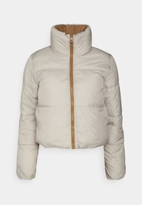 ONLRICKY REVERSE PUFF JACKET - Žieminė striukė - silver