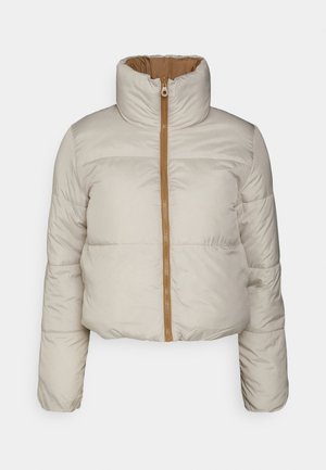 ONLRICKY OTW - Chaqueta de invierno - silver