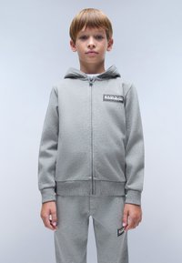 Napapijri CHAMOIS - Felpa con zip - medium grey melange