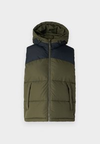 Ausgewählt, forest night