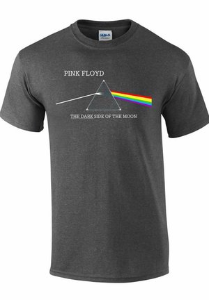 PINK FLOYD - DARK SIDE OF THE MOON ALBUM - T-shirt print - grey