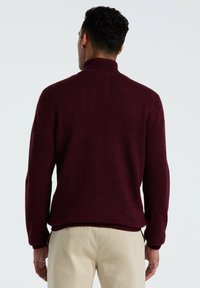 Burgunderfarbener Strickpullover mit hohem Kragen und gerippten Bündchen, von hinten gezeigt, mit lockerer Passform und weicher Textur.