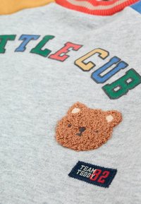 Grauer Sweatshirt mit buntem "LITTLE CUB"-Schriftzug, versehen mit einem plüschigen braunen Bären-Patch und einem marineblauen Etikett mit "TEAM TEDDY 82". Gestreifter roter Halsauschnitt.