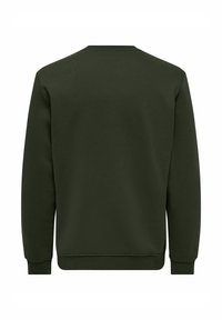 Dark green sweatshirt made of soft cotton blend, with a crew neck, long sleeves, and ribbed cuffs. Smooth texture with no visible patterns.