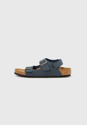 Blue suede sandals with two adjustable straps, cork footbed, rubber sole, and silver-tone hardware. Classic open-toe design.