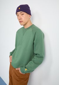 Felpa verde con scollo rotondo, polsini a coste e un piccolo logo giallo sulla manica. Abbinata a pantaloni marroni e un berretto viola.