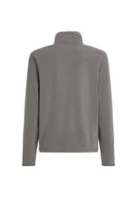 Grijze fleece pullover met een hoge kraag en lange mouwen. Glad textuur, minimalistisch ontwerp, geen zichtbare hardware of patronen.