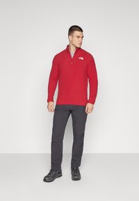 The North Face GLACIER 1/4 ZIP - Fleecepullover - garnet red