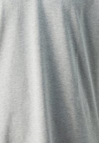 Replay Pamata T-krekls - light grey melange