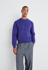 Weekday REGULAR - Jumper - bright blue