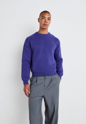 Weekday REGULAR - Jumper - bright blue