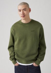 Groene crewneck sweatshirt gemaakt van zacht materiaal, met ribgebreide manchetten en zoom, en een klein logo op de borst. Draagbaar over een wit shirt.