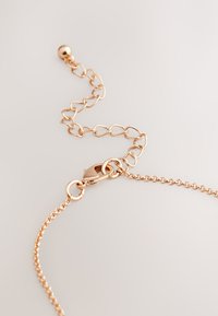 Delicate rose gold chain necklace with adjustable heart-shaped links and a lobster clasp on a light background.