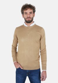 Maglione marrone chiaro realizzato in un morbido tessuto a maglia. Presenta una scollatura rotonda e maniche lunghe, indossato sopra una camicia bianca con collo.