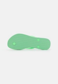Havaianas SLIM - Sandálias em T - green garden