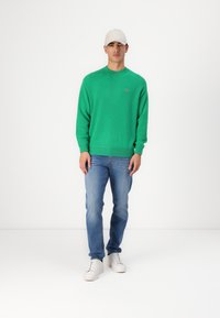 Lacoste Vesta - calathea