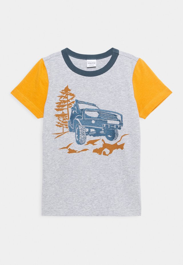 SAFARI OFF ROAD UNISEX - Print T-shirt - pale grey