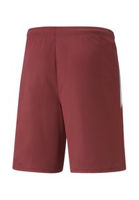 Puma TEAMLIGA FOOTBALL - Shorts - rot