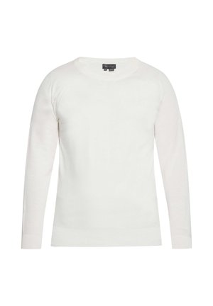 Weißer Strickpullover mit langen Ärmeln, Rundhalsausschnitt und gerippten Bündchen und Saum, präsentiert auf einem schlichten Hintergrund.