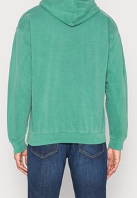 Vintage Supply Jersey con capucha - green