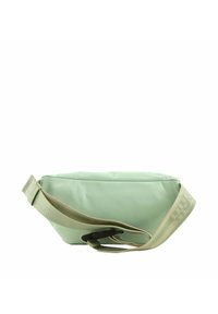 Sac banane en nylon vert de forme rectangulaire, avec une bandoulière réglable et une bande ornée d'un logo. Texture lisse, design minimaliste.