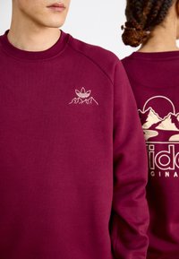 Bordo džemperis ar apaļu kakla izgriezumu, priekšpusē ar baltu izšūtu kalnu un logo, un grafisko dizainu aizmugurē.