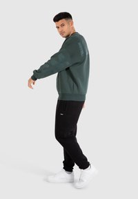 Smilodox UNISEX BRAIL SOLID - Sudadera - grün