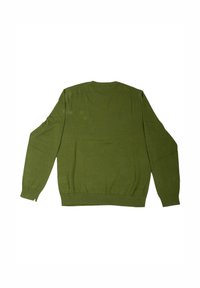 Maglione in maglia verde oliva, a maniche lunghe, con scollatura rotonda e polsini e orlo a coste, texture morbida e design semplice, senza decorazioni.
