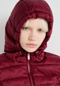 Bordo puffer jakna s uklopljenom kapuljačom, zatvaranjem na patentni zatvarač i šniranjem. Tkanina je sjajna s kviltiranim dijelovima za izolaciju.