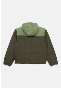 Veste matelassée en vert foncé avec une partie supérieure et une capuche vert clair. Elle présente une forme carrée et un détail en tissu texturé.