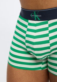 Κοντινό πλάνο πράσινων και λευκών ριγέ ανδρικών εσωρουχων boxer με μπλε σκούρο ζωνάρι στη μέση που φέρει το λογότυπο Calvin Klein στο σώμα ενός ατόμου.