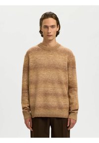 Jeune homme aux cheveux bruns de longueur moyenne portant un pull ample dégradé marron et un pantalon marron foncé, debout devant un fond uni.