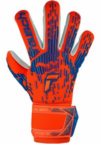 Torwarthandschuhe in leuchtendem Orange mit blauen Akzenten. Texturierte Griffoberfläche, Mesh-Körper und verstellbarer Handgelenkriemen. Verstärkte Fingerspitzen.