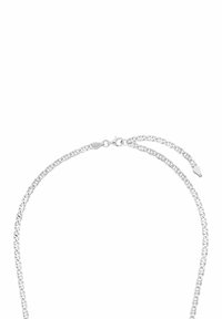 Collana in argento con chiusura a moschettone e catena di estensione regolabile su uno sfondo bianco.