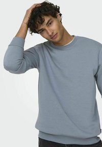 Only & Sons CERES LIFE CREW NECK - Bluză de molton - flint stone