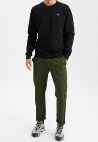 Anerkjendt Sweatshirt - black